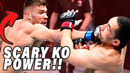 Every Dricus Du Plessis UFC Knockout & Submission