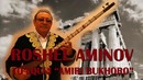 Рошель Аминов – Тулкуни Амири Бухоро