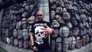 Dino MC47 – Среда Обитания