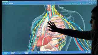 Медицинское обучение на интерактивной доске