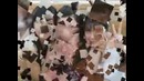 Поздрательное Видео