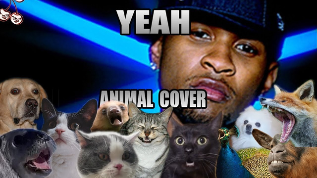 Usher – Yeah! (Animal Cover)