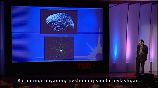 V. Ramachandran: Taraqqiyotni shakllantirgan neyronlar | TED O’zbek