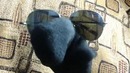 Братишка давай поиграем в The Socks