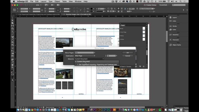 Adobe InDesign. Moving Pages from One Document to Another