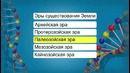 Биология – История развития жизни в архейскую и протерозойскую эру