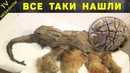 10 самых необычных вещей найденных во льду