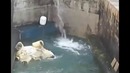 Наконец дали воду