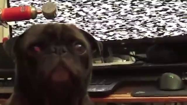 Pewdipie quits youtube, edgar takes over