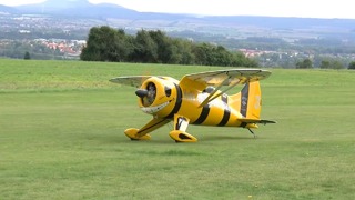 Гигантская радиоуправляемая модель самолёта Hall Springfield Bulldog