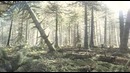 Планета динозавров (2 серия)
