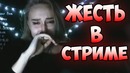 5 случаев жести во время стрима #15