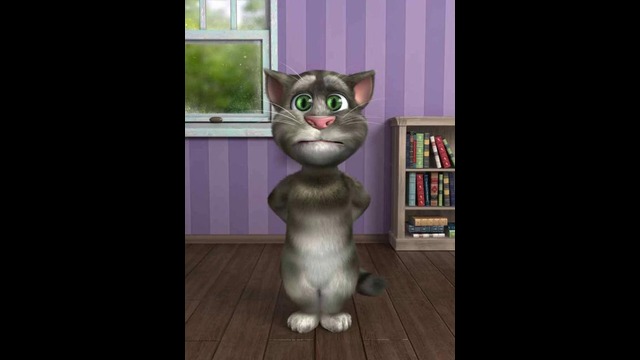 Crazy Cat Furik