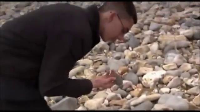 Ричард Докинз Эволюция для школьников