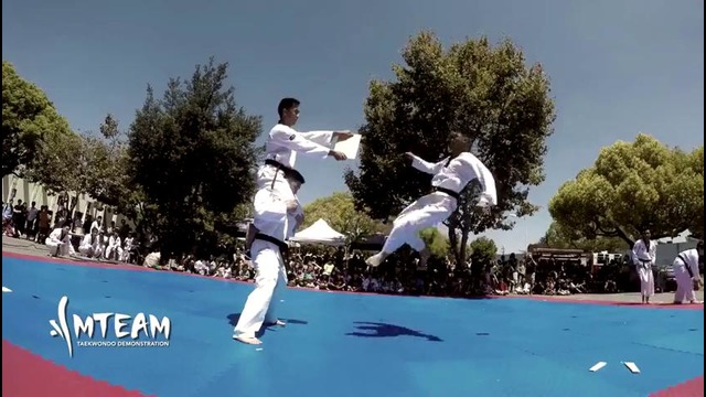 Amazing Taekwondo Skills 2016