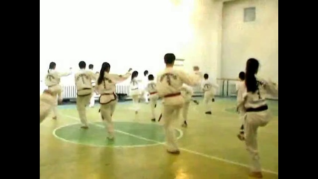 Tae-Kwon-Do ITF Zbor Komanda Trenirovki Chempionat Mira (2013г)