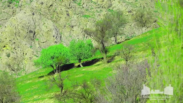 Ургут природа 720