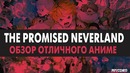 Promised Neverland – обзор отличного аниме | ANCORD