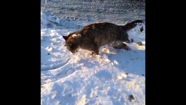 Суровая зима в Астане #3