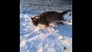 Суровая зима в Астане #3
