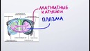 НАУЧПОК – Как сделать реальный световой меч
