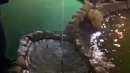 Нереальное попадание в лунку из фонтана