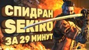 [STOPGAME] Sekiro быстрейшее прохождение на планете (Спидран в деталях)