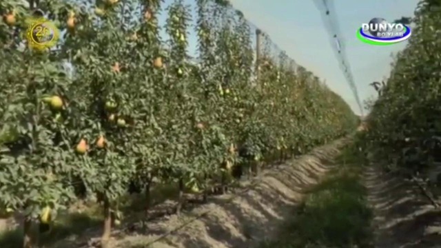 Збекистонда органик қишлоқ хўжалиги истиқболлари