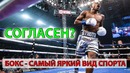 Бокс – самый яркий вид спорта! СОГЛАСЕН [?]