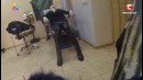 Как защитить себя в парикмахерской и не подцепить гепатит – Все буде добре