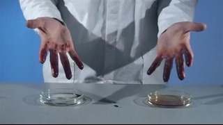 Руки в крови от хлорного железа – химические опыты