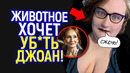 Жесть! Хейтеры «сожгли» Джоан Роулинг живьем/Джоан размазала «активиста», заставив просить пощады