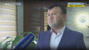 Отклики на Общенародное движение «Доброта и поддержка»