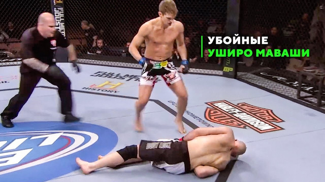 Так Вырубает в UFC Только Мастер Карате – Стивен Томпсон