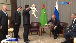 Два саммита в Сочи: в резиденции Путина появился новый обитатель
