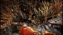 Олег брейн; far cry 4 – захват крепости слоном (жесть)