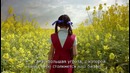 Мини-курс ‘Основы видеомонтажа в Adobe Premiere Pro CC’. Урок 1