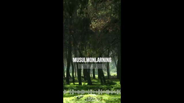 MAZHABDA BIRLIK — UMMATDA HAMJIHATLIK