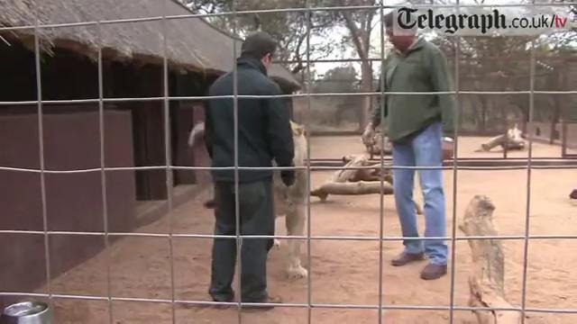 Человек и звери – Часть 7