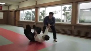 Jujitsu vs Aikido