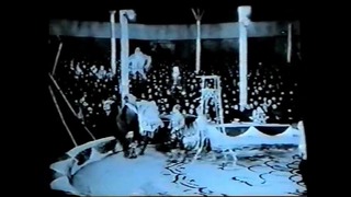 Акробаты на верблюдах Кадыр-Гулям Ташкент 1964г