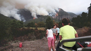 Из-за пожара на Тенерифе эвакуируют тысячи жителей
