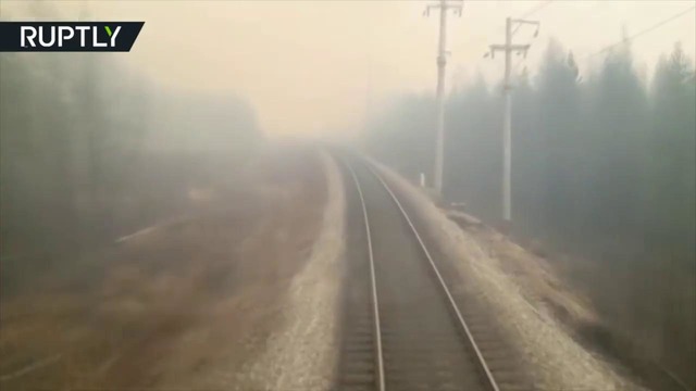 Поезд, проехавший через лесной пожар в Комсомольске-на-Амуре, попал на видео