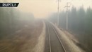Поезд, проехавший через лесной пожар в Комсомольске-на-Амуре, попал на видео
