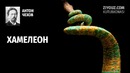 Anton Chexov. Xameleon | Антон Чехов. Хамелеон