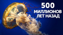 Самые древние существа на Земле (мы гораздо старше, чем полагали)