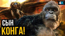 Кинг-Конг 2 – разбор анонса от Warner Bros. Мотра злодей