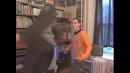 AVGN 49 – Star Trek [RUS
