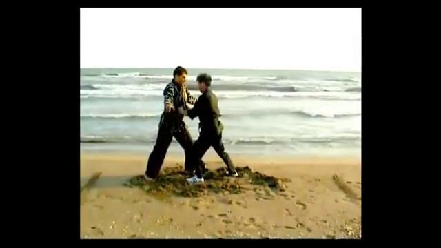 Jeet Kune Do Kim Wing Chun Technics Приемы Вин Чунь