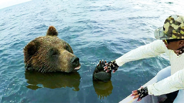 ЖИВОТНЫЕ, КОТОРЫЕ САМИ ПОПРОСИЛИ ЛЮДЕЙ О ПОМОЩИ